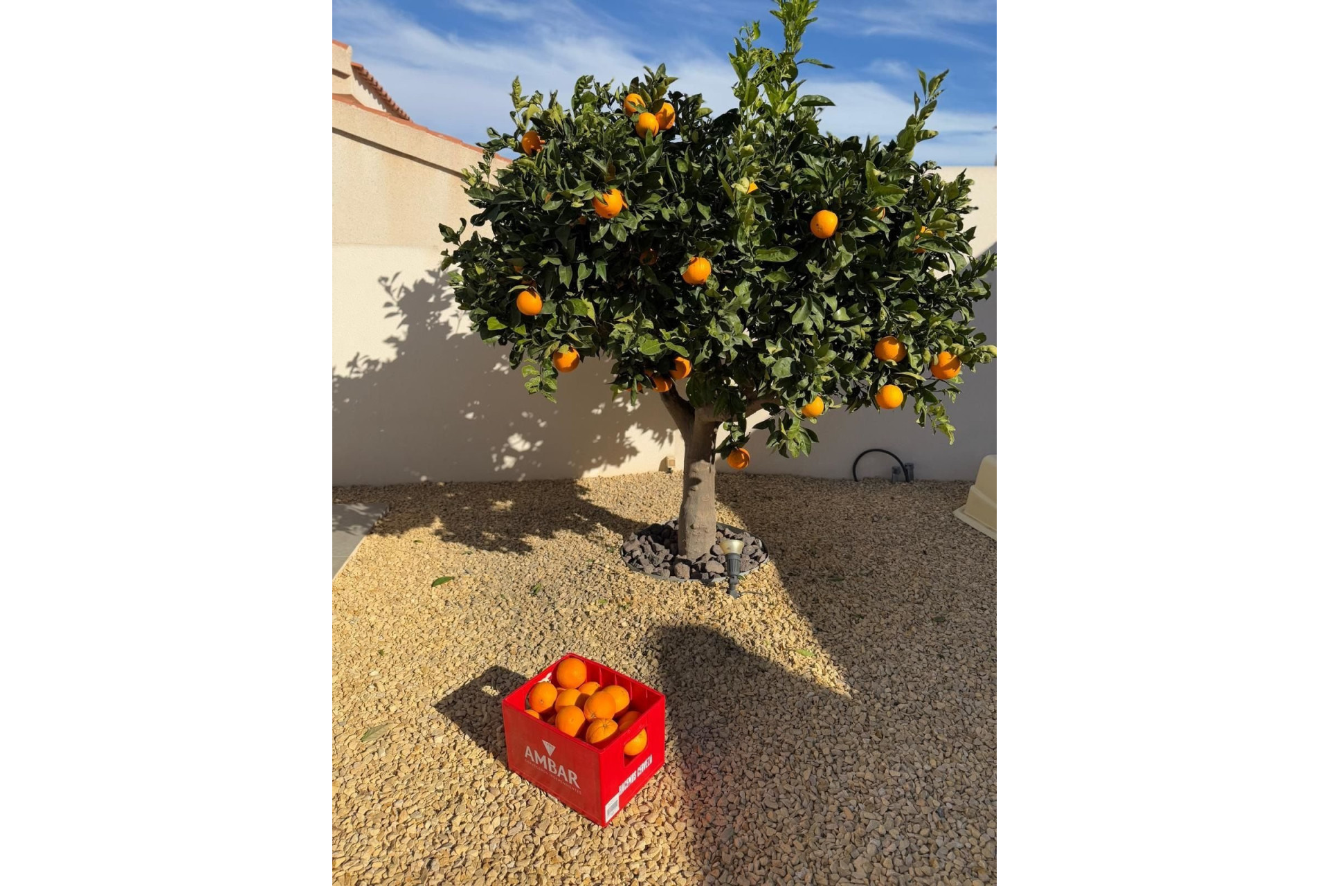 Herverkoop - Vrijstaande villa - Ciudad Quesada