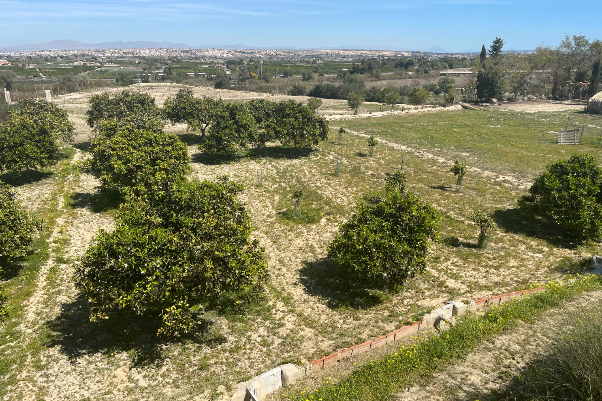 Herverkoop - Vrijstaande villa - Guardamar del Segura - Valencian Community