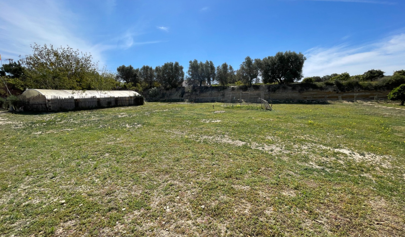 Herverkoop - Vrijstaande villa - Guardamar del Segura - Valencian Community