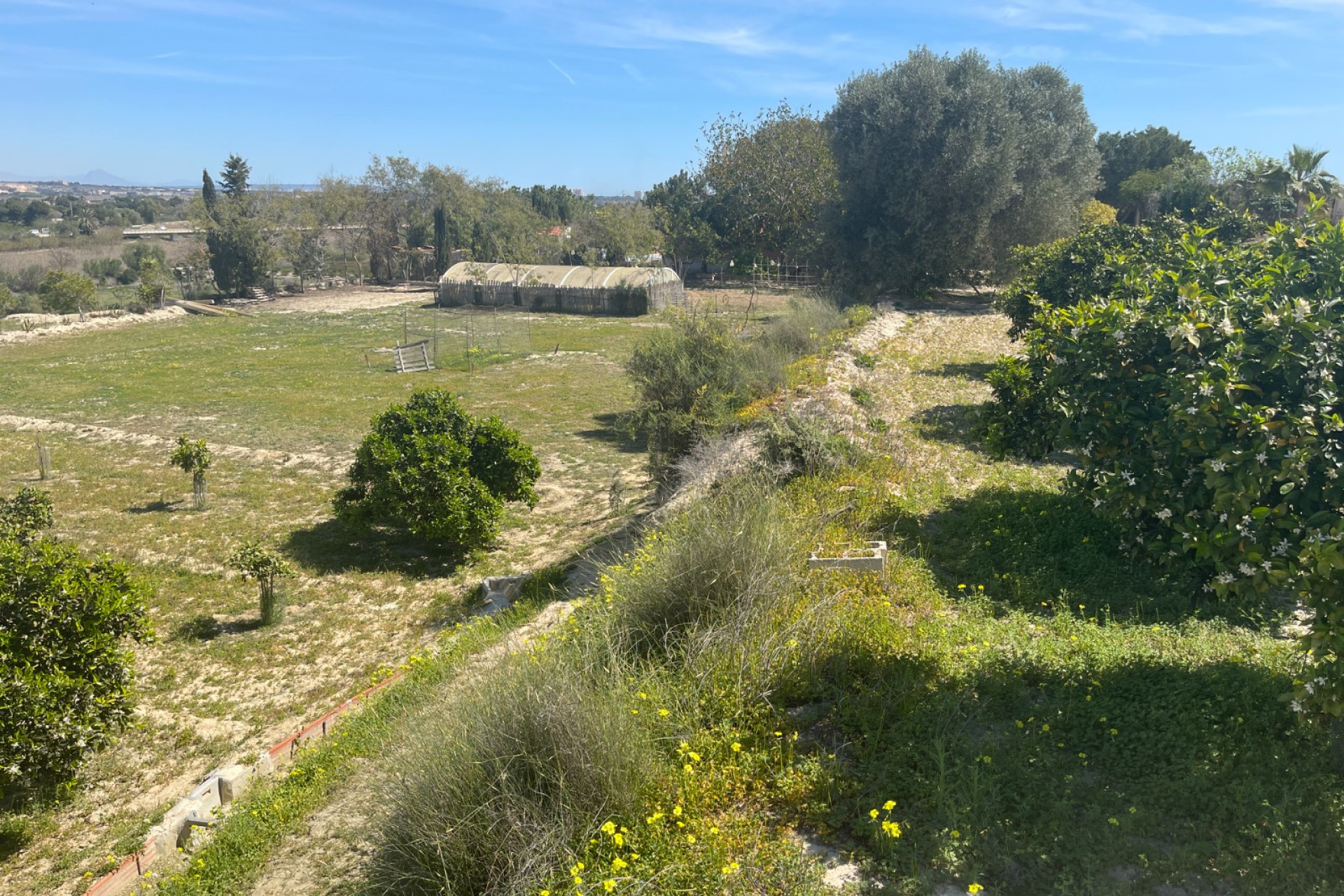 Herverkoop - Vrijstaande villa - Guardamar del Segura - Valencian Community