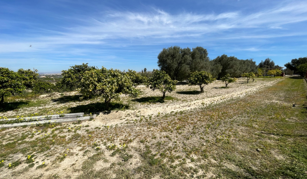 Herverkoop - Vrijstaande villa - Guardamar del Segura - Valencian Community