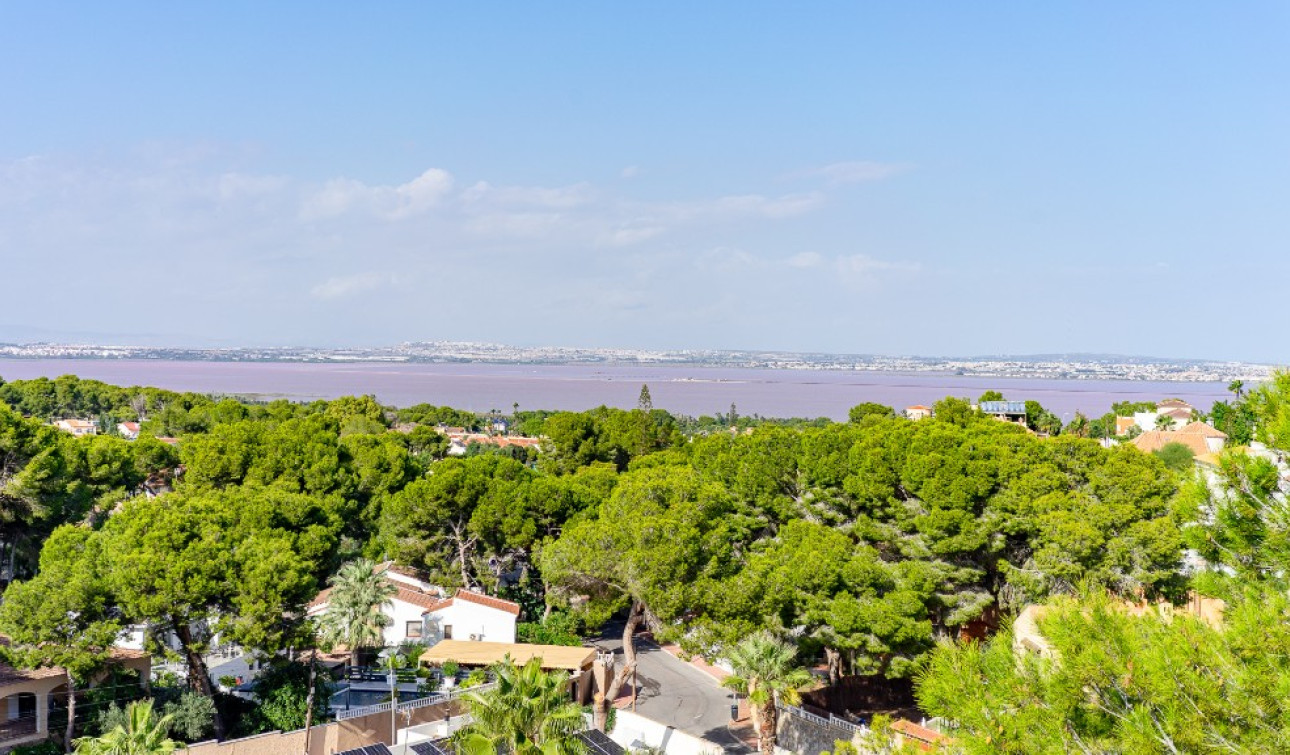 Herverkoop - Vrijstaande villa - Los Balcones