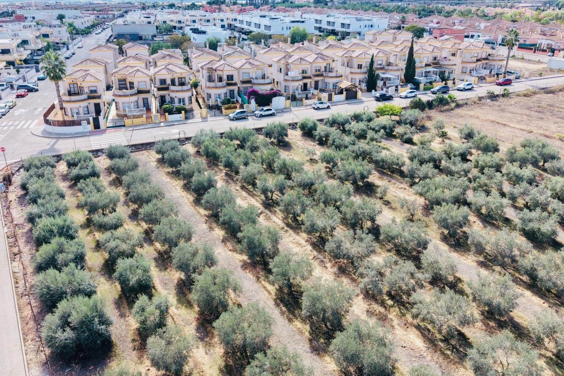 Herverkoop - Vrijstaande villa - Los Montesinos - La Herrada
