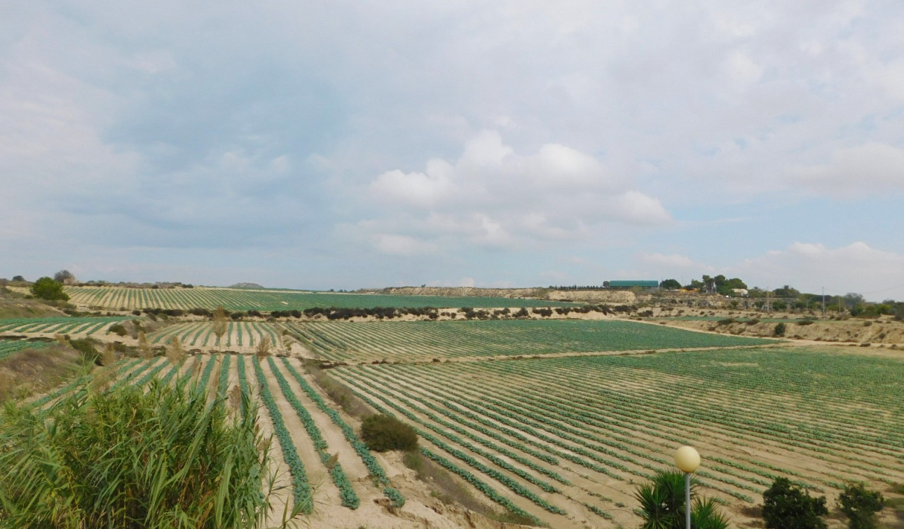 Herverkoop - Vrijstaande villa - San Miguel de Salinas - San Miguel Salinas