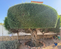 Herverkoop - Vrijstaande villa - San Miguel de Salinas