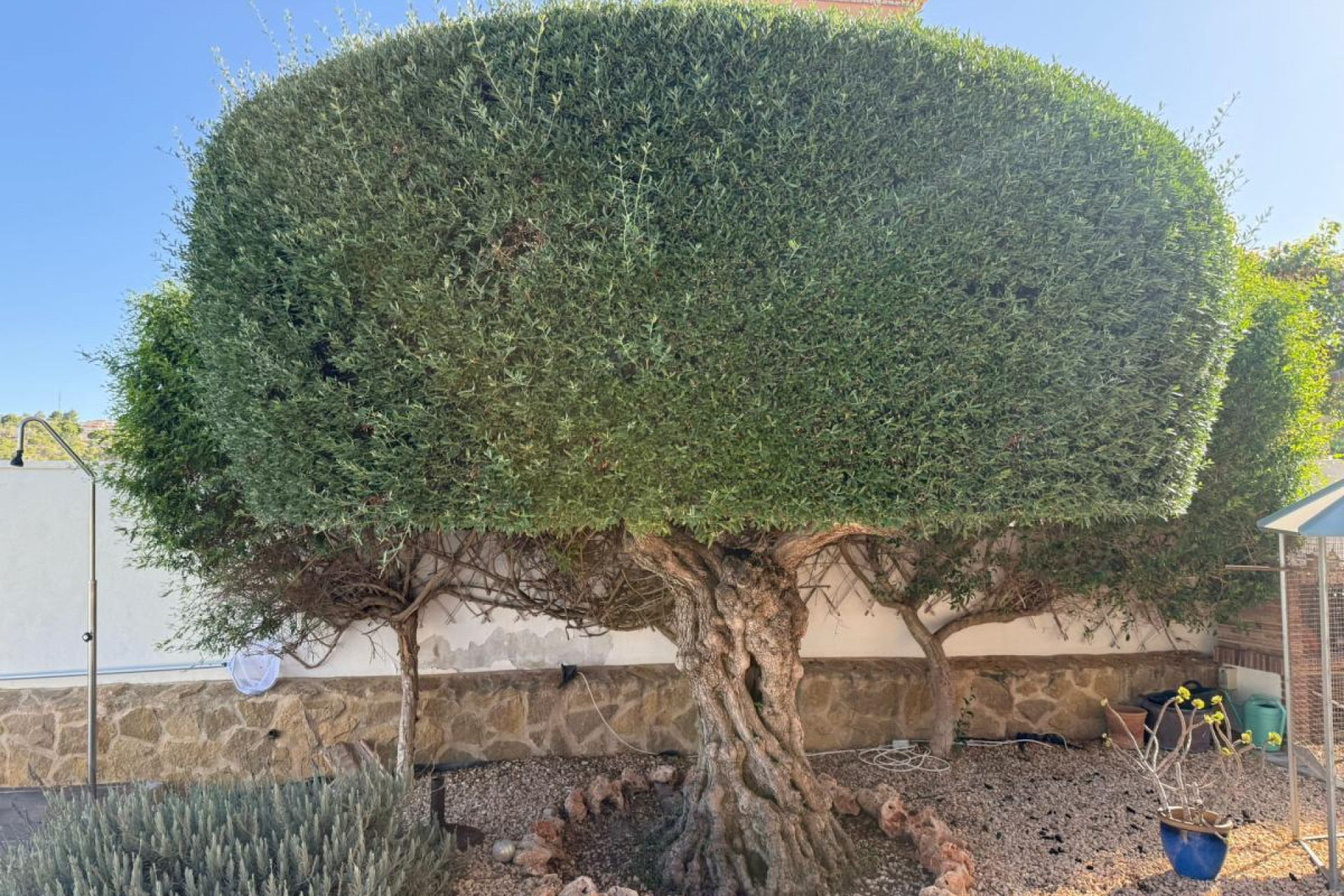Herverkoop - Vrijstaande villa - San Miguel de Salinas