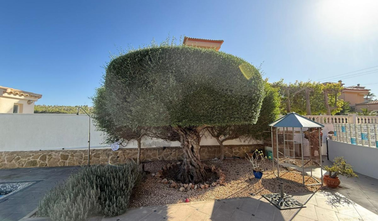 Herverkoop - Vrijstaande villa - San Miguel de Salinas