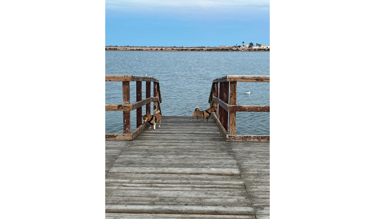 Herverkoop - Vrijstaande villa - Santiago de la Ribera - Dos Mares