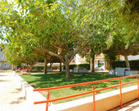Location à long terme - Appartement - San Miguel de Salinas - San Miguel Salinas