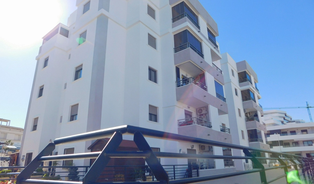 Long Term Rental - Apartment / Flat - San Miguel de Salinas