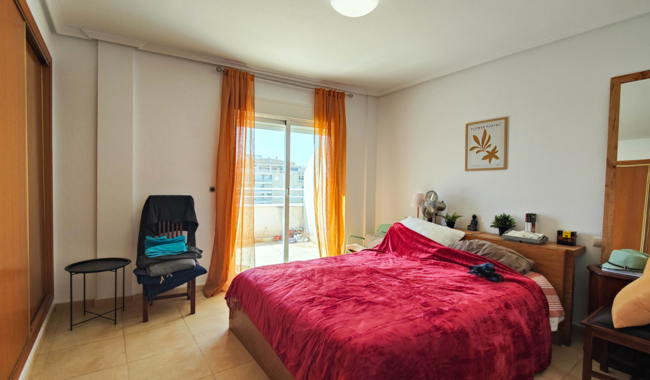 Long Term Rental - Apartment / Flat - Torrevieja - Antonio Machado