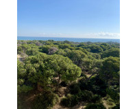 New Build - Apartment / Flat - Guardamar del Segura - Centro