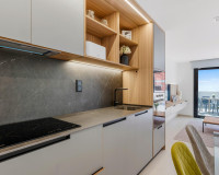 New Build - Apartment / Flat - Guardamar del Segura - El Raso