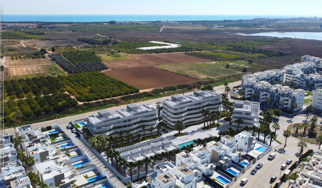 New Build - Apartment / Flat - Guardamar del Segura - El Raso