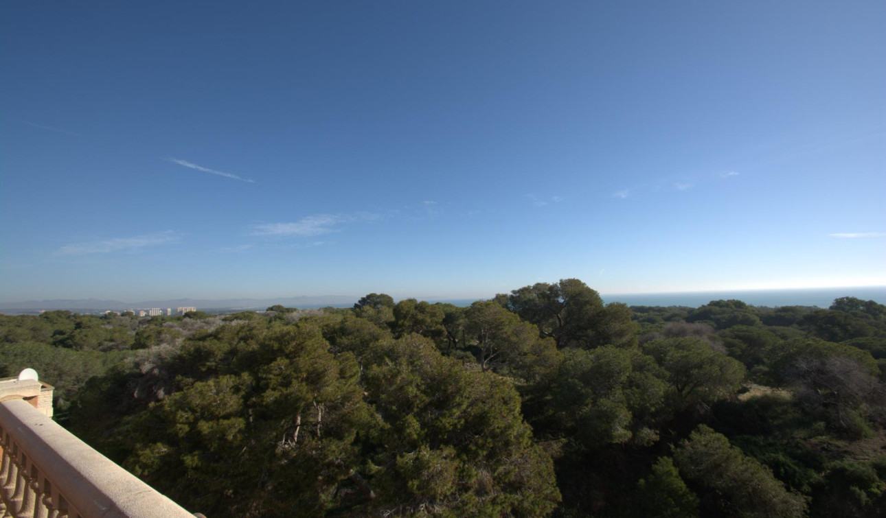 New Build - Apartment / Flat - Guardamar del Segura - Pueblo