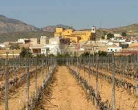 New Build - Apartment / Flat - Hondón de las Nieves - El Salero