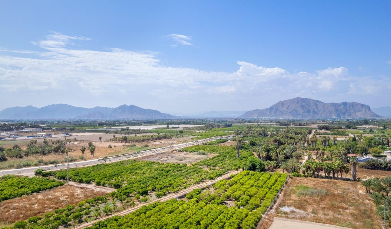 New Build - Apartment / Flat - Jacarilla - pueblo