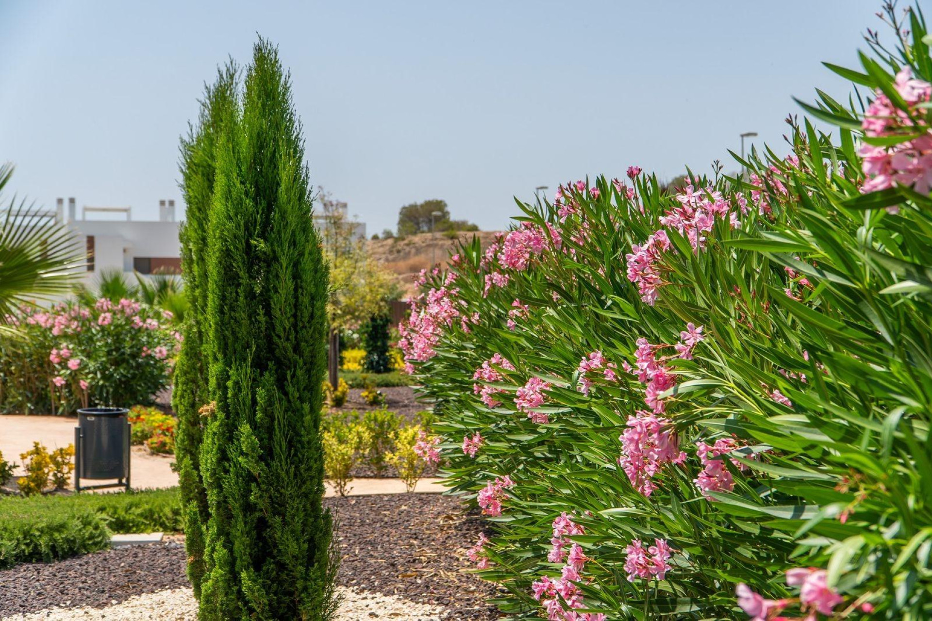 New Build - Apartment / Flat - Orihuela - Entre Naranjos