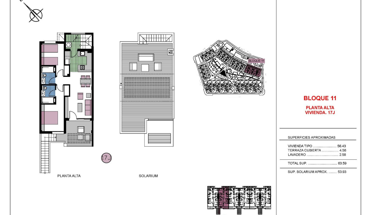 New Build - Apartment / Flat - Pilar de la Horadada - Mil Palmeras