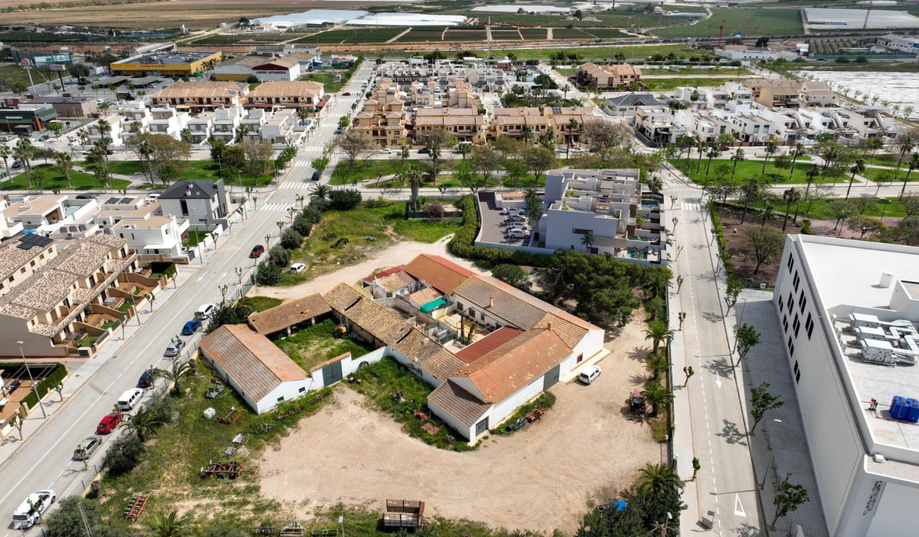 New Build - Apartment / Flat - Pilar de la Horadada - parques de Andromeda