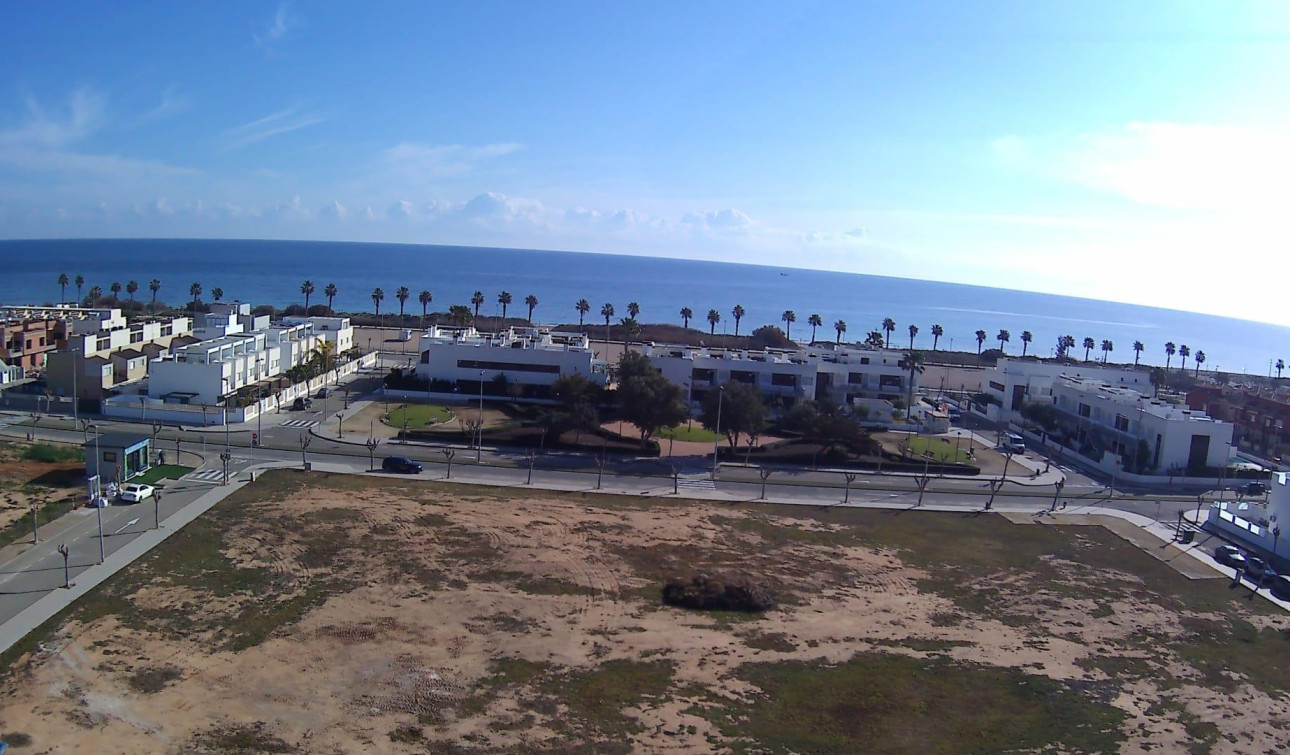 New Build - Apartment / Flat - Pilar de la Horadada - Playa de las Higuericas
