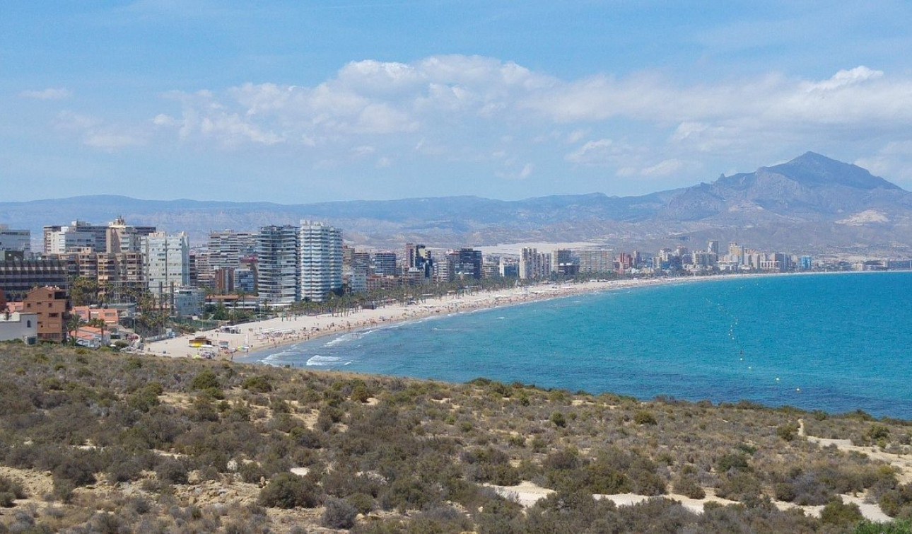 New Build - Apartment / Flat - San Juan de Alicante - Fran Espinos