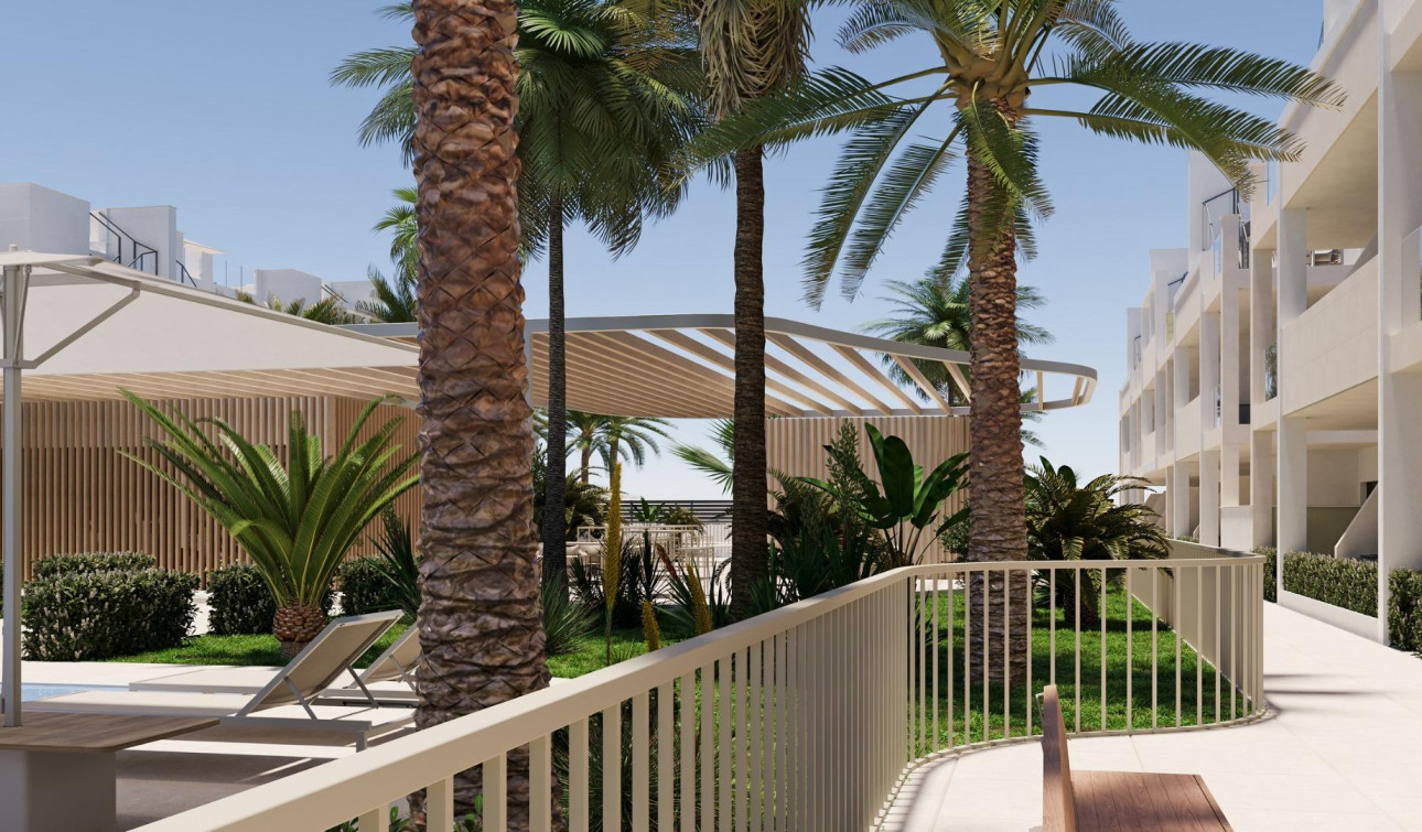 New Build - Apartment / Flat - Torre Pacheco - San Cayetano