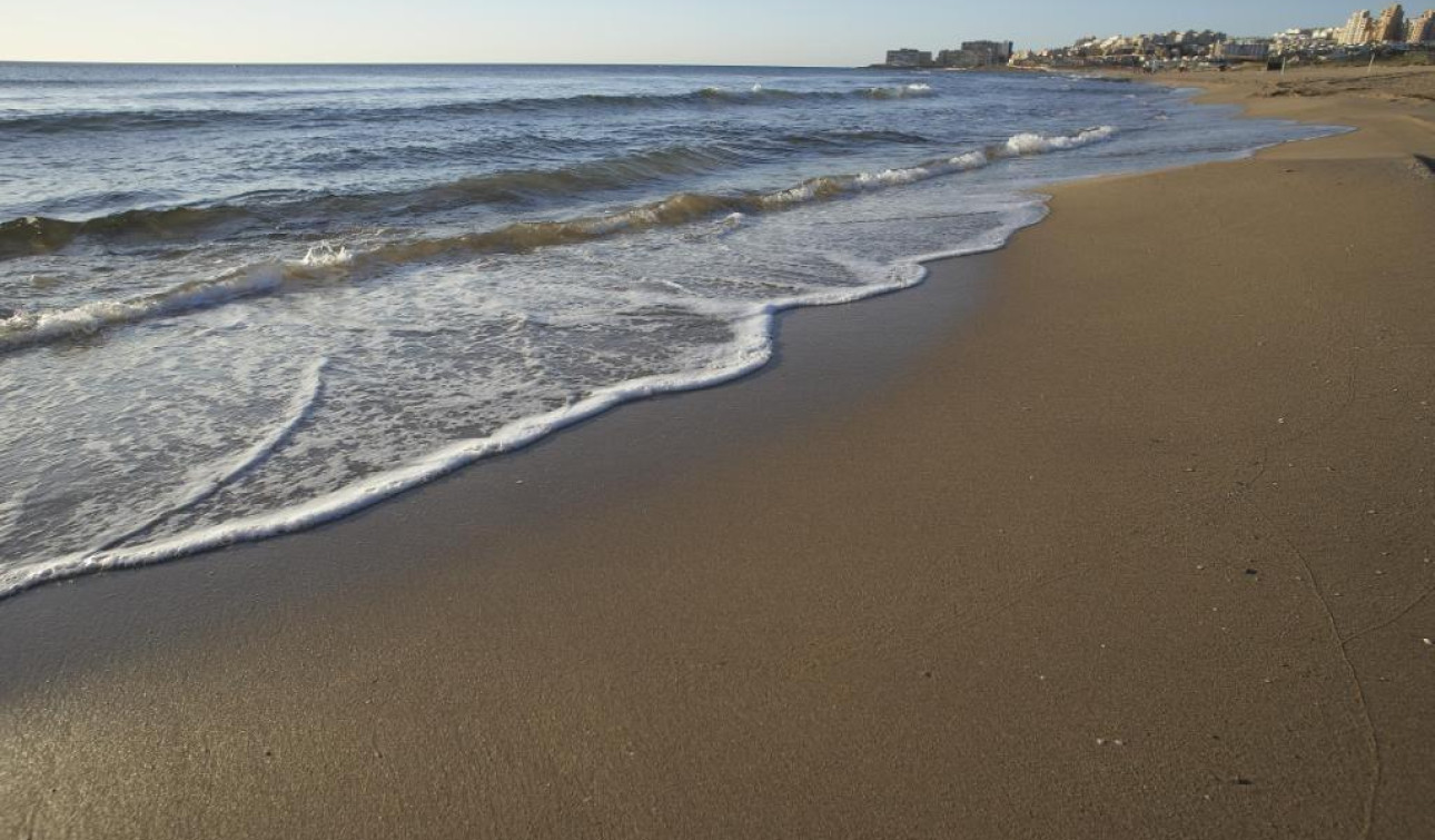 New Build - Apartment / Flat - Torrevieja - Altos del Sol