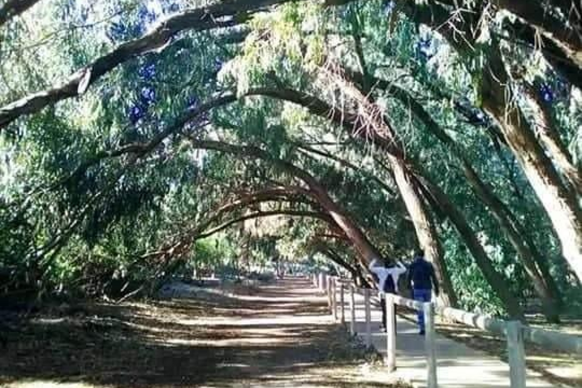 New Build - Apartment / Flat - Torrevieja - Altos del Sol