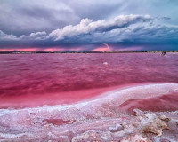 New Build - Apartment / Flat - Torrevieja - Altos del Sol