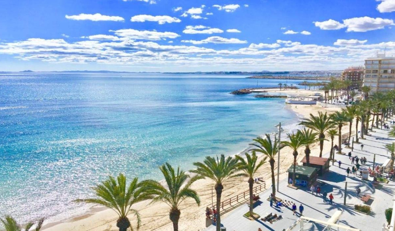 New Build - Apartment / Flat - Torrevieja - Lago Jardín II