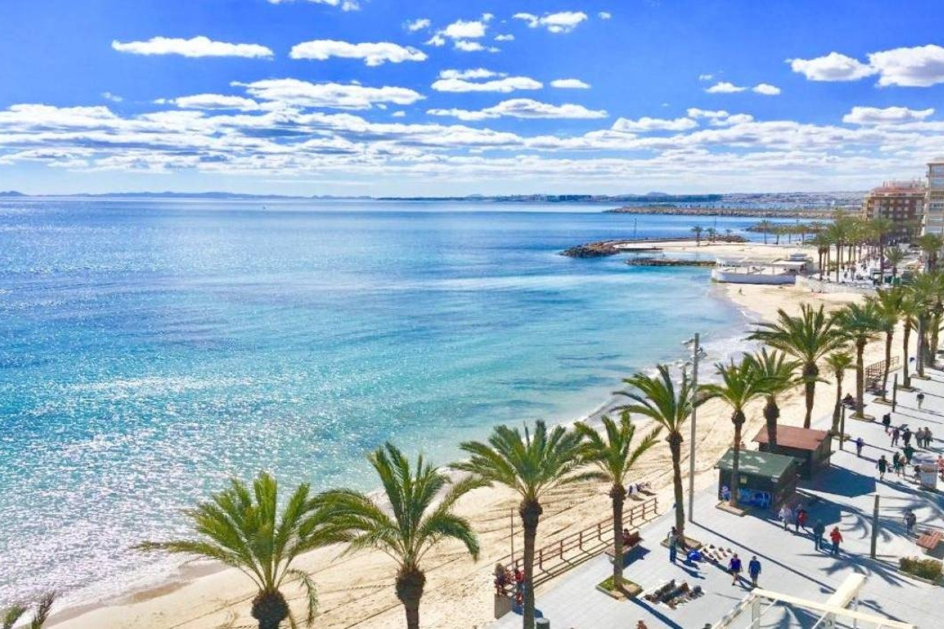 New Build - Apartment / Flat - Torrevieja - Lago Jardín II