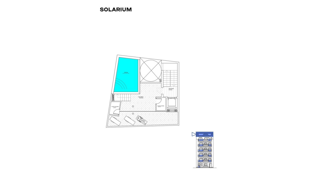 New Build - Apartment / Flat - Torrevieja - Playa de los Locos