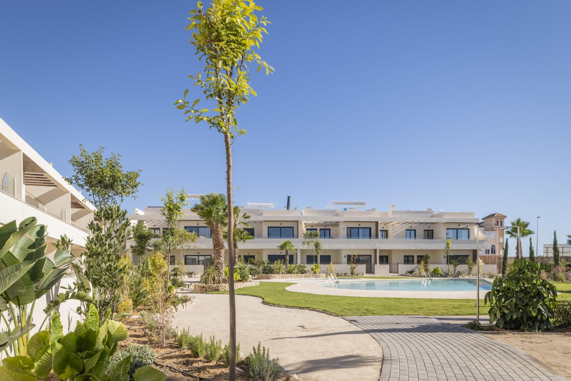 New Build - Apartment / Flat - Torrevieja - Villa Amalia