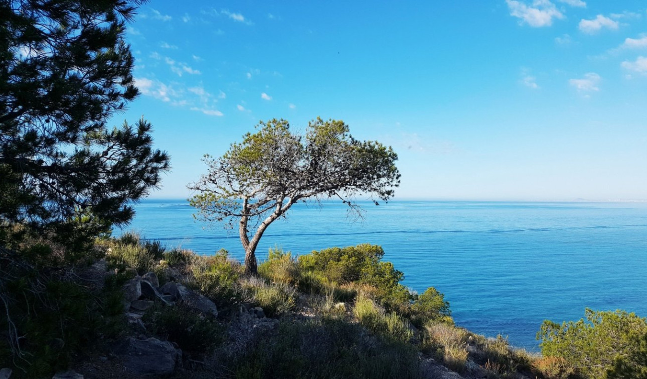 New Build - Apartment / Flat - Villajoyosa - Playa Les Torres