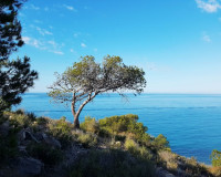 New Build - Apartment / Flat - Villajoyosa - Playa Les Torres