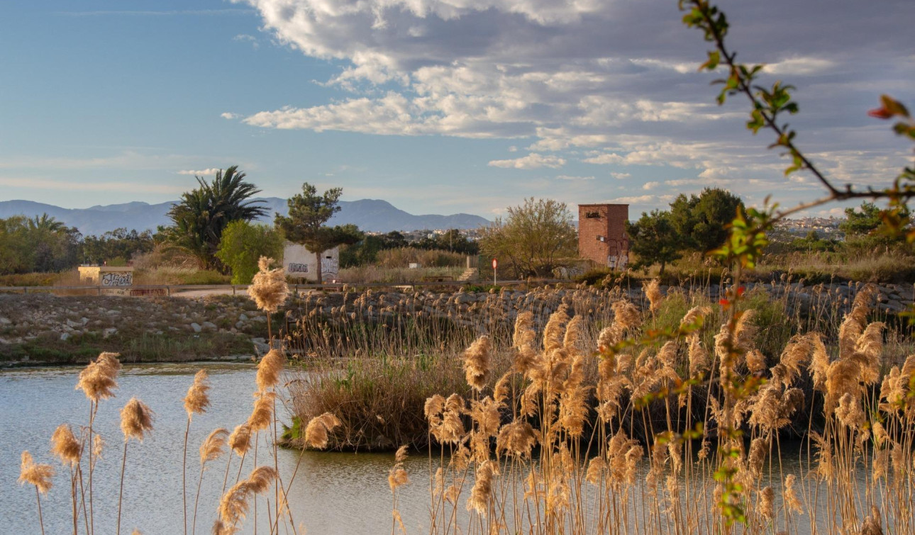 New Build - Bungalow - Guardamar del Segura