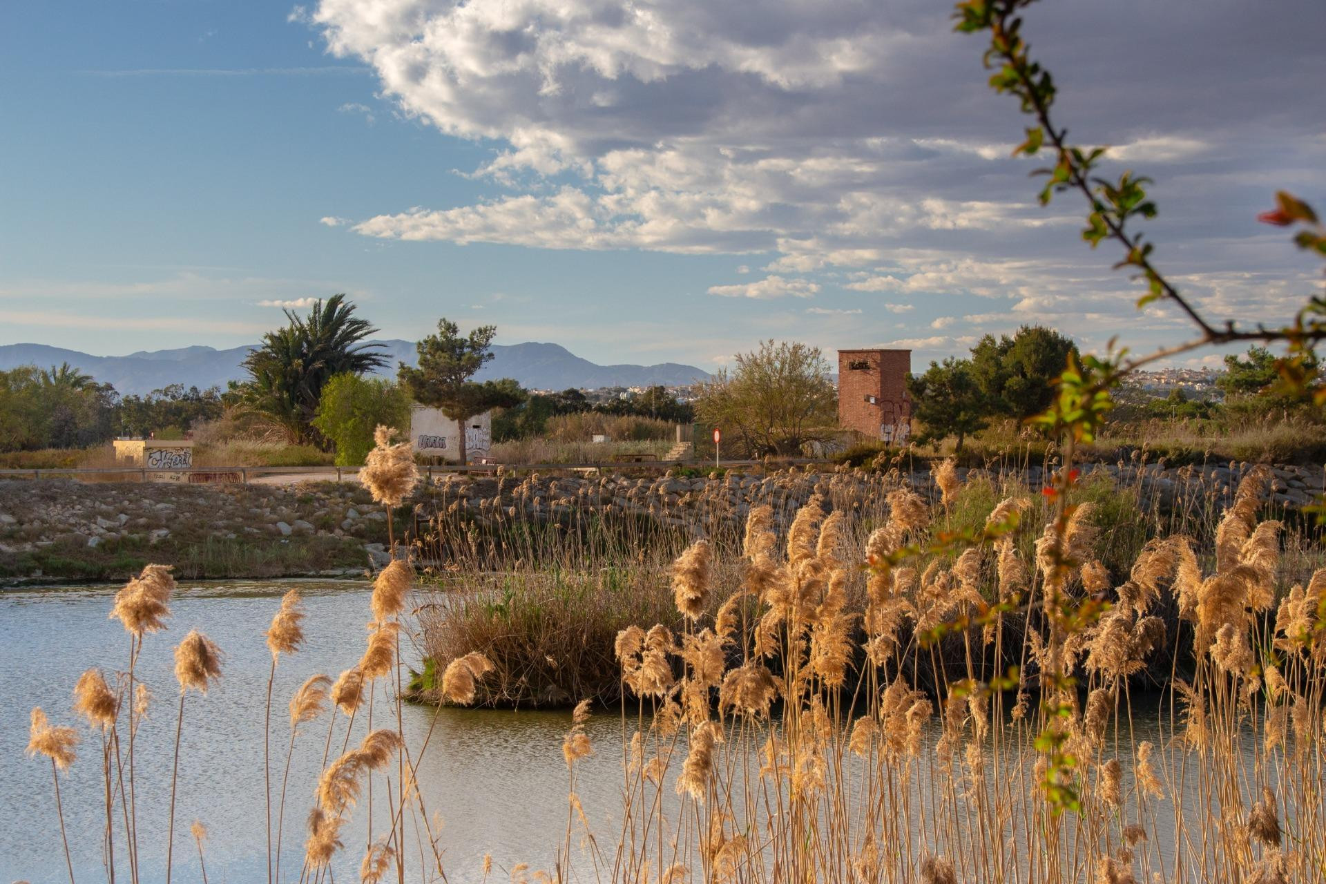 New Build - Bungalow - Guardamar del Segura