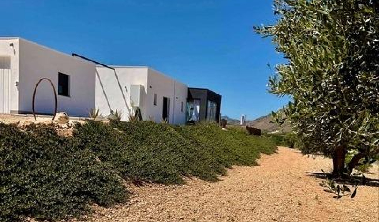 New Build - Detached Villa - Abanilla - Cañada de la Leña