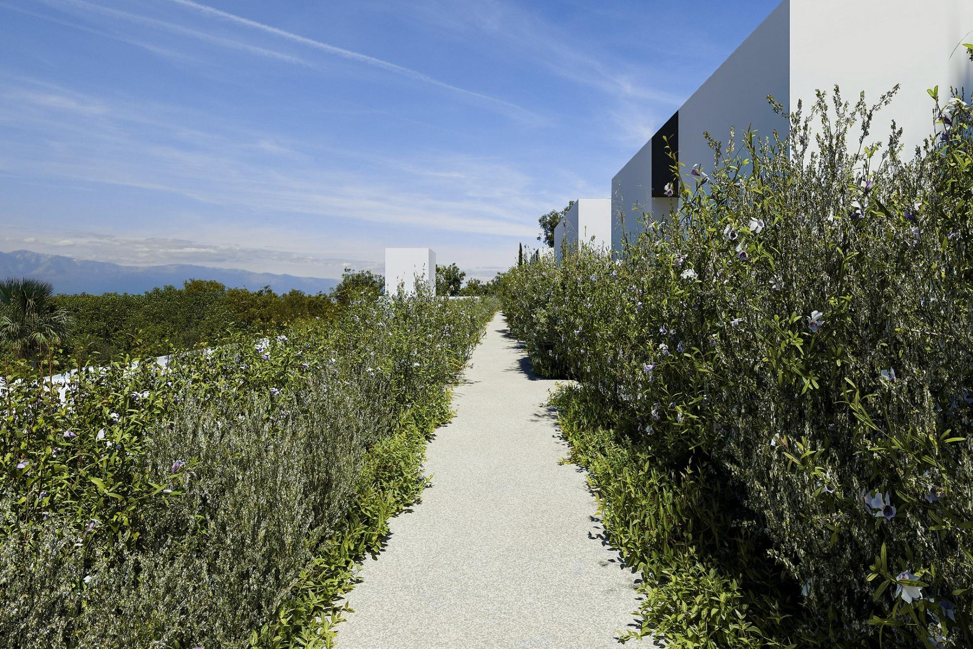 New Build - Detached Villa - Alfas del Pí - Barranc Fondo