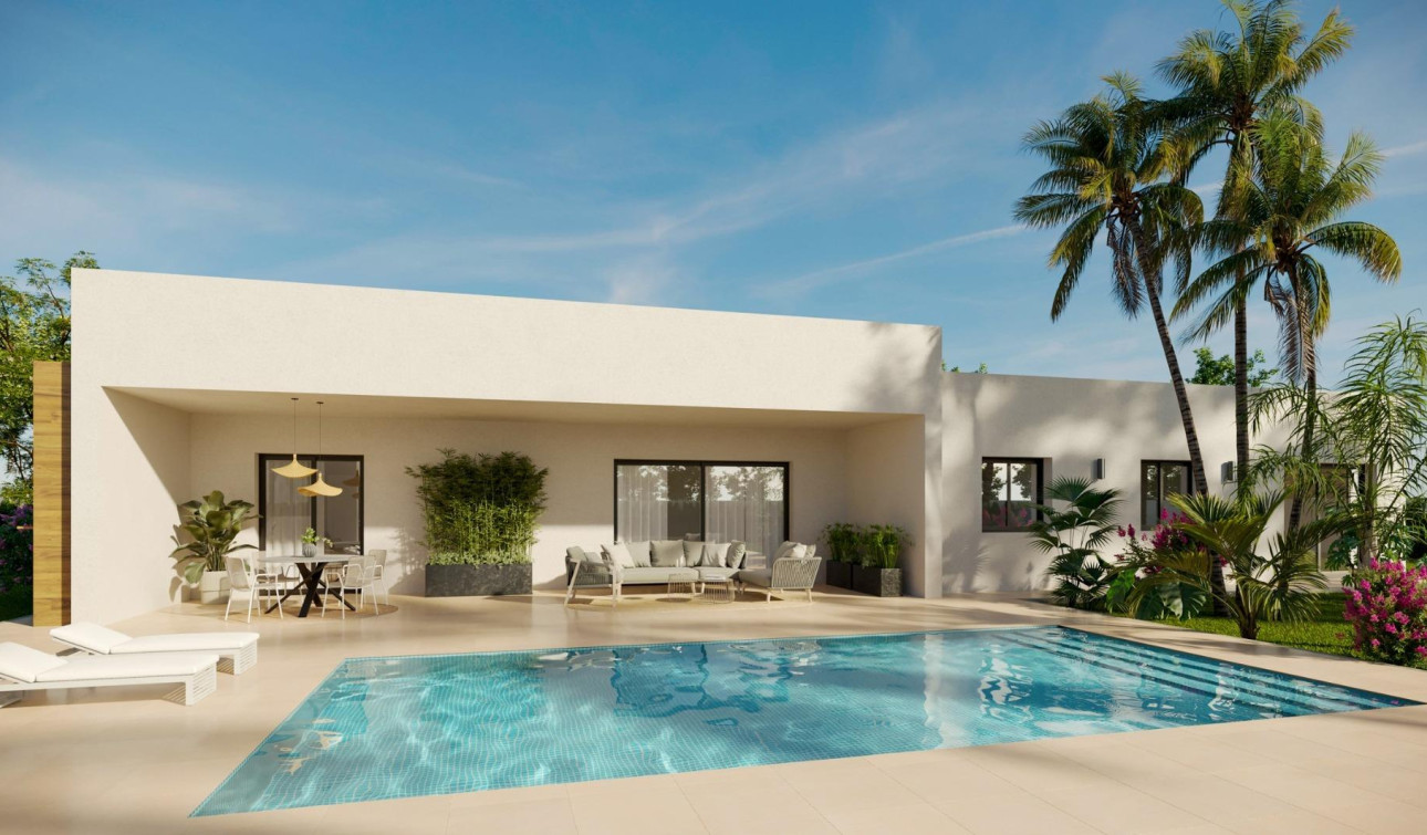 New Build - Detached Villa - Aspe - Poligono 19