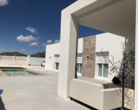 New Build - Detached Villa - Aspe - urbanizaciones