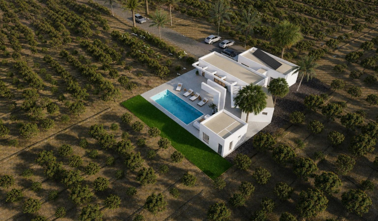 New Build - Detached Villa - Benejúzar - alta