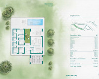 New Build - Detached Villa - Fuente Álamo - Hacienda del Alamo