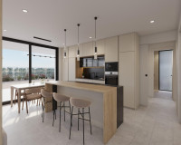 New Build - Detached Villa - Fuente Álamo - Hacienda del Alamo