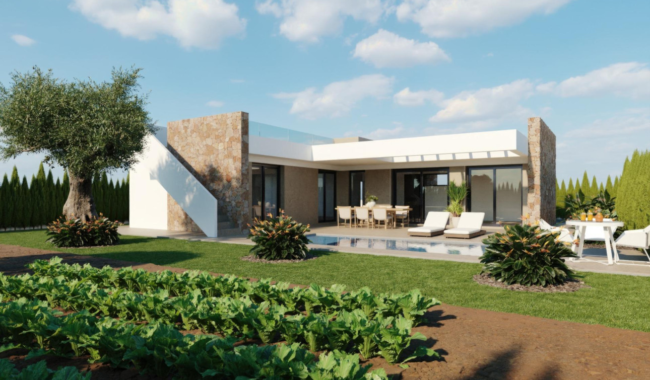 New Build - Detached Villa - Fuente Álamo - Hacienda del Alamo