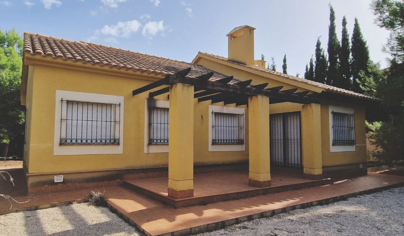 New Build - Detached Villa - Fuente Álamo - Las Palas