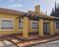 New Build - Detached Villa - Fuente Álamo - Las Palas