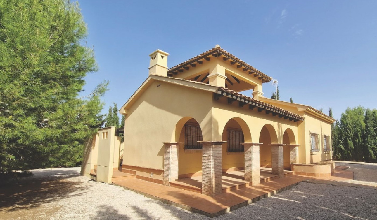 New Build - Detached Villa - Fuente Álamo - Las Palas