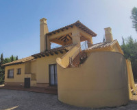 New Build - Detached Villa - Fuente Álamo - Las Palas